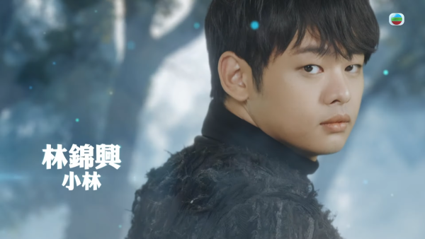 聲秀｜25歲林錦興小林背景起底！「愛妻號」現職地盤工人自稱「好平凡嘅人」