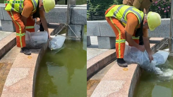 基孔肯雅熱｜疫情惡化！深圳廣州珠海廣東1周增近3千宗病例 即睇16個高風險地區