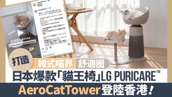 打造韓式喵界舒適圈！日本爆款「貓王椅」 LG PuriCare™ AeroCatTower登陸香港！