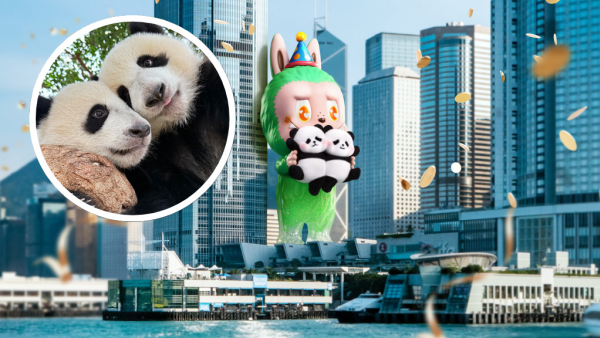 港產大熊貓龍鳳胎家姐細佬一歲生日！送特別版大熊貓LABUBU  限量308隻！即睇抽獎方法