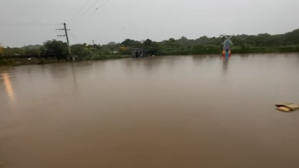 元朗信芯園農莊暴雨下水浸！相隔兩周園區再變「汪洋」重創花田