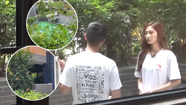 業主斥400萬買洪水橋單位收樓貨不對版 陽台泳池景驚變「綠化森林」落差極大