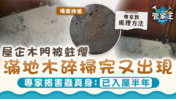 家居警號｜屋企木門被蛀爛「離奇木碎」掃完又出現 專家揭害蟲：已潛伏半年