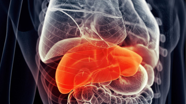 48歲男不煙不酒驚患末期肝硬化須換肝！醫生揭OO當水飲惹禍：肝臟萎縮剩1/3