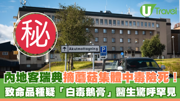 內地客瑞典摘蘑菇集體中毒險死！致命品種疑「白毒鵝膏」醫生驚呼罕見