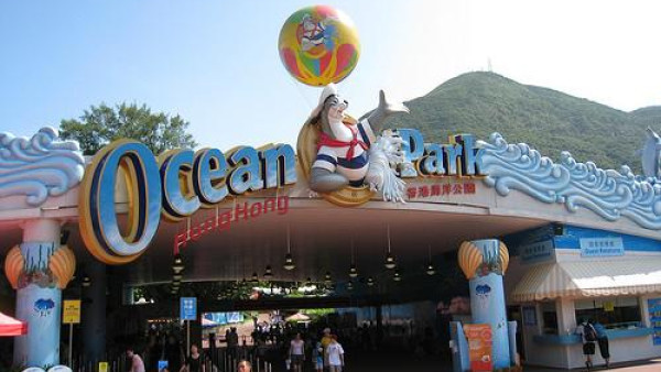 2012年海洋公園曾發生氦氣球急墜意外 離地約20米時急墜 5人受傷送院