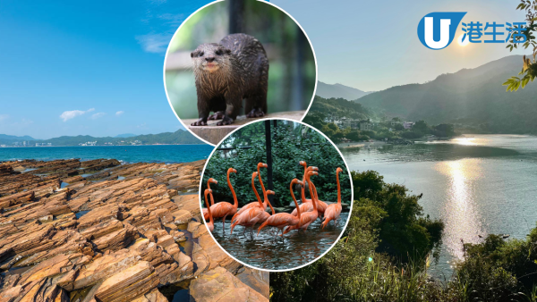 香港特色公園逾10大好去處！南蓮園池/天文公園/地質公園 附地址/交通方式/開放時間