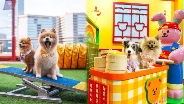 寵物好去處2025｜九龍區寵物友善商場5選 寵物共融區/寵物市集/花園