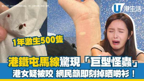 被蟲咬︱港鐵驚現「巨型怪蟲」！乘客疑遭叮咬致皮膚紅腫 網民︰即刻換曬舊衫掉晒