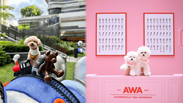 寵物好去處2025｜新界區寵物友善商場4選 寵物巴士團/5萬呎寵物花園