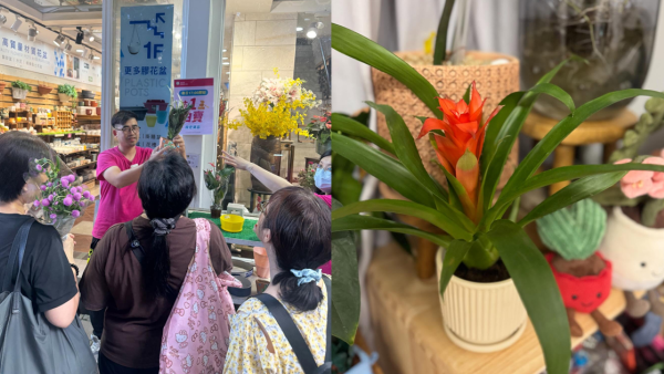 太子花墟搞$1拍賣吸客！超抵價買到新鮮花束/蘭花/盆栽！店員一舉動獲讚好敬業