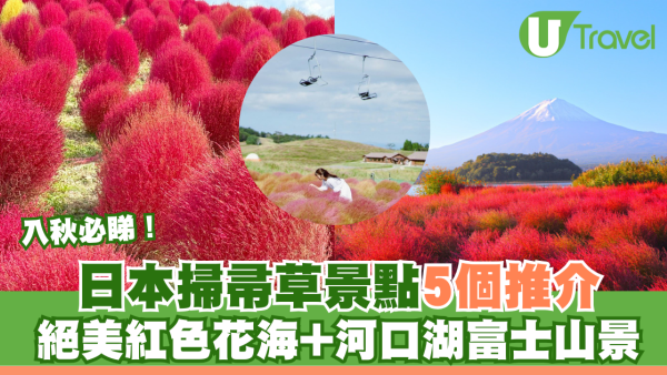 入秋必睇！日本掃帚草景點5推介！絕美波波草紅海映襯河口湖富士山景