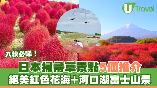 入秋必睇！日本掃帚草景點5推介！絕美波波草紅海映襯河口湖富士山景