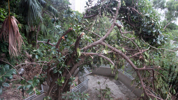 颱風樺加沙威力貼近山竹！回顧山竹驚人破壞力 狂風暴雨交通幾乎癱瘓
