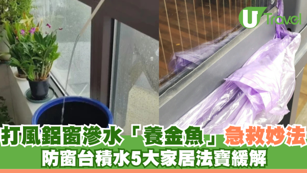 超強颱風樺加沙｜打風鋁窗滲水急救妙法 防窗台積水養金魚 5大家居法寶緩解滲水