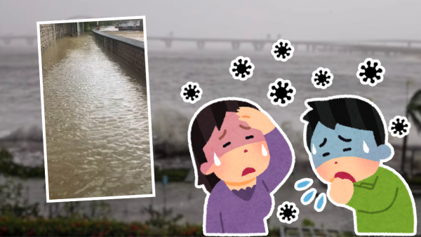 颱風麥德姆｜打風即頭痛/肚痛/關節痛？中醫教對抗「氣象病」 食呢幾款食物有效紓緩