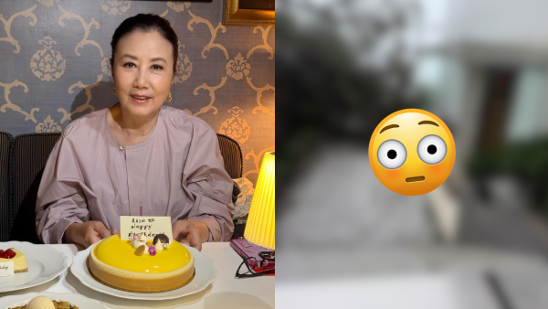 颱風樺加沙｜汪明荃西貢獨立屋巨樹倒塌橫插花園 完全封閉出入口與世隔絕