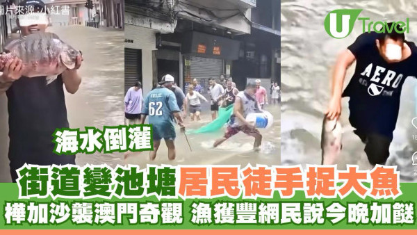 颱風樺加沙橫掃澳門海水倒灌街道變池塘  居民徒手捉大魚目測成尺長