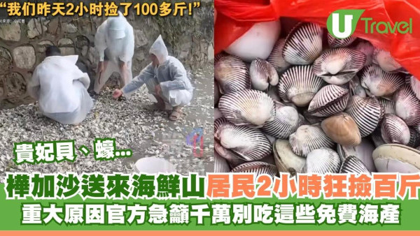 颱風樺加沙過境汕尾海灘驚現海鮮山！居民2小時狂撿百斤！官方急籲千萬別吃
