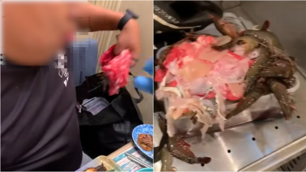 附千海水產回應！荃灣廣場海鮮放題驚揭「食霸」！男女偷藏大量海鮮肥牛 嚇窒職員：成袋呀？ 黃傑龍提醒一事 小心原告變被告！