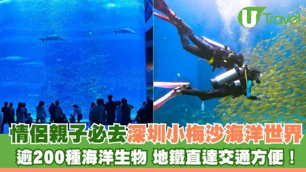 深圳鹽田小梅沙海洋世界︰套票划算！逾200海洋生物室內涼爽親子情侶必去