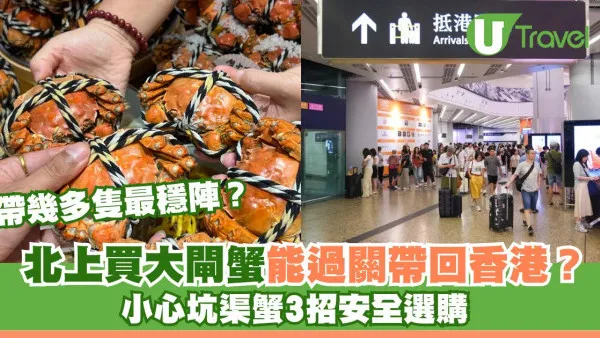  北上買大閘蟹可以過關帶返香港？帶幾多隻最穩陣？小心坑渠蟹3招安全選購