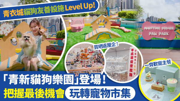 【毛孩周末好去處】青衣城「青新貓狗樂園」登場 最後機會玩轉寵物市集！