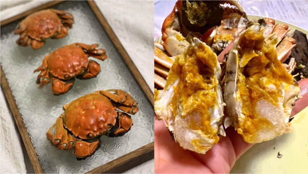 食神韜韜推介大閘蟹 限時優惠$11隻!爆膏江蘇蟹乸蟹公$99三隻+包大閘蟹紫蘇葉