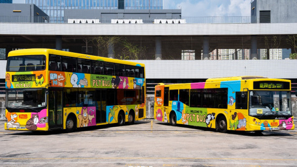 年長寵物免費乘坐九巴寵物巴士！每月指定日子適用 即睇登記方法