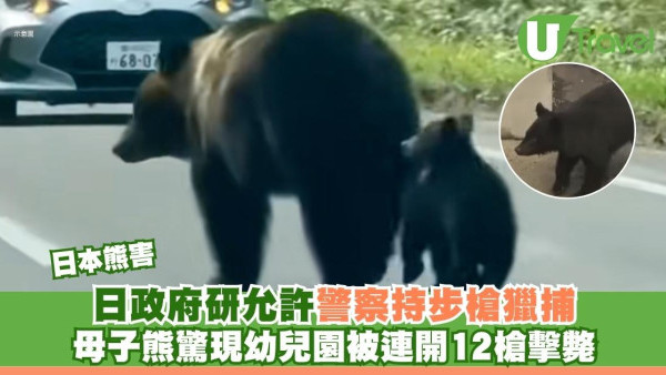 日本熊害｜母子熊驚現幼兒園被連開12槍擊斃 日政府研允許警察持步槍獵捕
