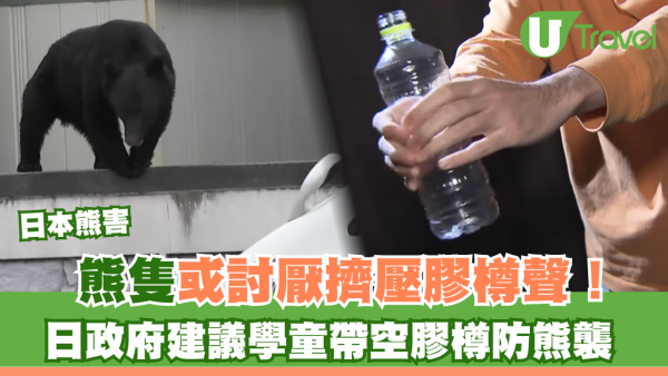 日本熊害｜日政府建議學童帶1物防熊襲 指熊隻或討厭呢種聲！