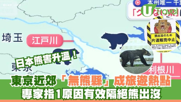 日本熊害升溫！東京近郊「無熊縣」成旅遊熱點 專家指1原因有效隔絕熊出沒