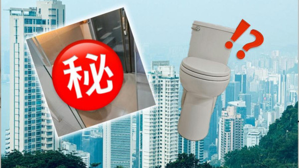 雙馬桶設計震驚睇樓港女：幾平都唔想租！網民反讚實用笑「男左女右」