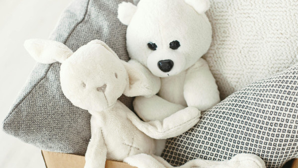 家中「夾公仔」氾濫怎辦？香港遊樂場協會「收養計劃 2.0」！捐贈舊公仔條件、收集點一覽