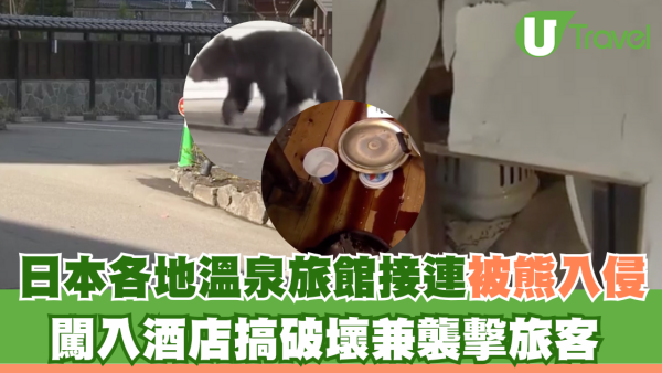 日本熊災｜各地溫泉旅館接連被熊入侵！熊隻闖入酒店搞破壞兼襲擊遊客 