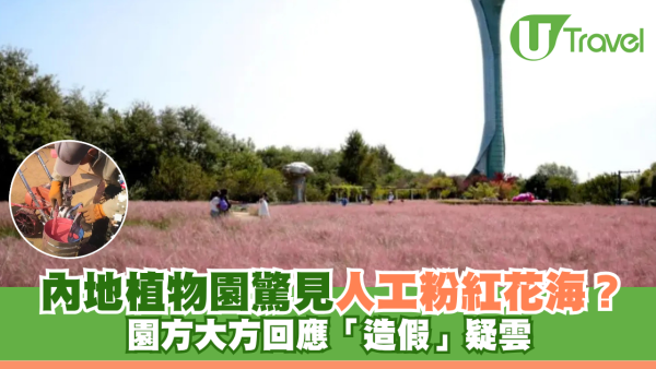 內地植物園驚見人工粉紅花海？園方大方回應「造假」疑雲