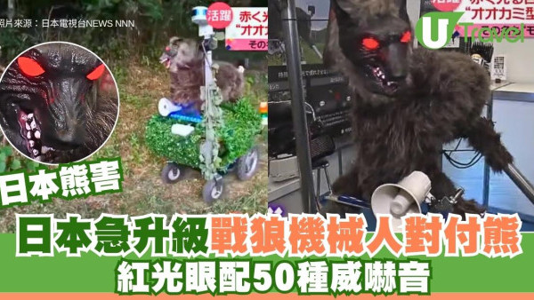 日本熊害｜日本急升級戰狼機械人對付熊！紅光眼配50種威嚇音(有片)