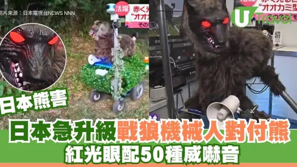 日本熊害｜日本急升級戰狼機械人對付熊！紅光眼配50種威嚇音(有片)