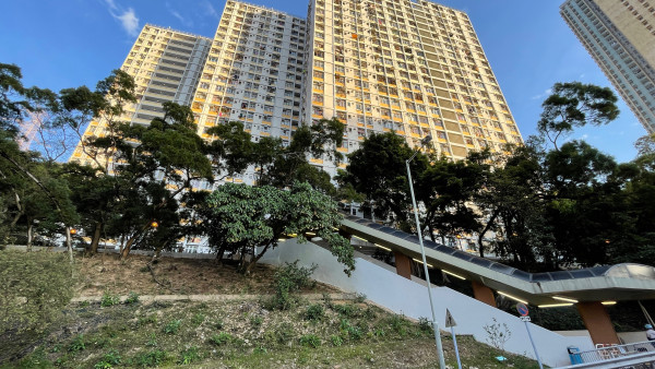 公屋派位｜港人放棄東涌新樓揀「40年舊邨」網民揭4大隱藏優勢：好似中咗六合彩