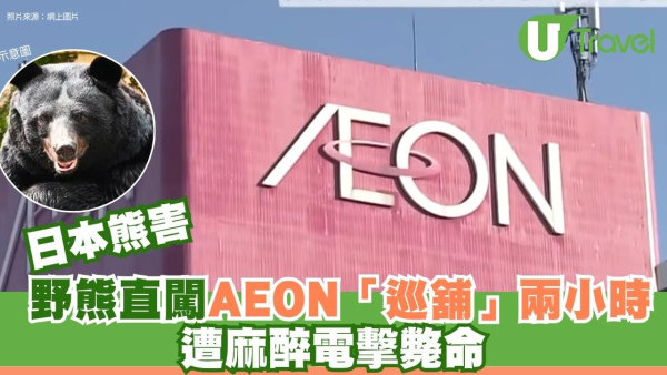 日本熊害│野熊直闖AEON「巡舖」兩小時 遭麻醉電擊斃命