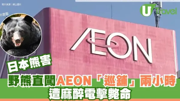 日本熊害│野熊直闖AEON「巡舖」兩小時 遭麻醉電擊斃命