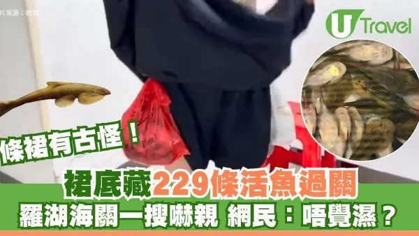 羅湖過關奇案！女子裙底藏229條活魚 海關揭走路怪異即斷正：條裙有古怪