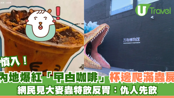 慎入！內地爆紅「昆蟲曱甴咖啡」爬滿蟲屍 網民見大麥蟲特飲反胃：仇人先飲        