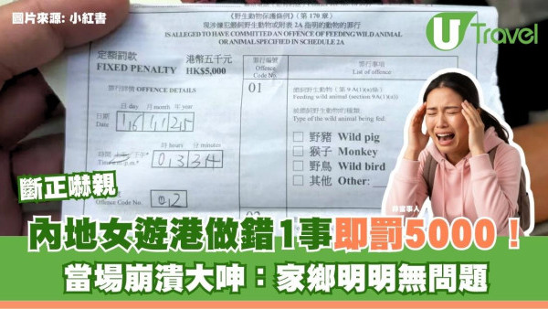 內地女遊港做錯1事即罰5000！當場崩潰大呻：家鄉明明無問題