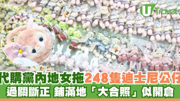 代購黨內地女拖248隻迪士尼公仔過關斷正 鋪滿地「大合照」似開倉