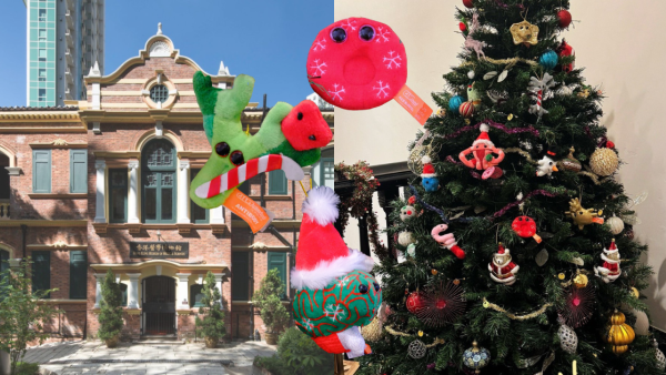 聖誕器官公仔限量登場香港醫學博物館！聖誕睪丸/大腦/紅血球特別版掛飾