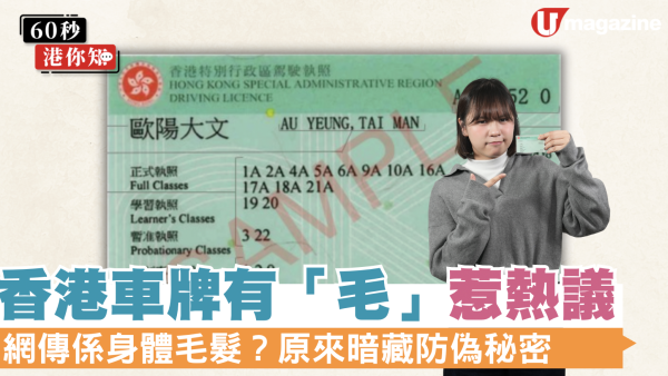 香港車牌有「毛」惹熱議！網傳係身體毛髮？原來暗藏防偽秘密