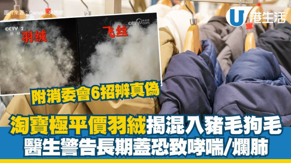 淘寶極平價羽絨被/羽絨褸全是假貨？內媒揭豬毛/飛絲冒充 長期蓋恐致哮喘/爛肺！【附消委會6招辨真偽】