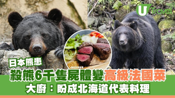日本熊患｜殺熊6千隻屍體變高級法國菜？大廚：盼成北海道代表料理