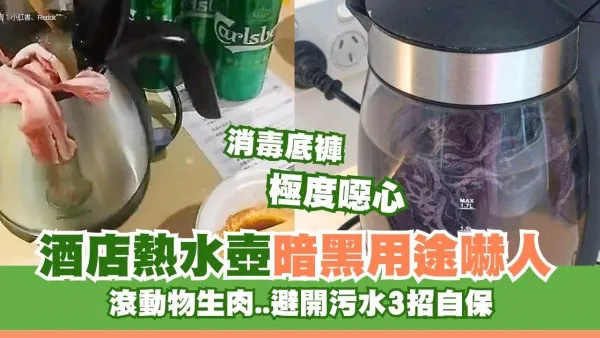 用酒店熱水壺煮底褲灼動物生肉 網民崩潰如飲屍水 員工爆3大暗黑用途